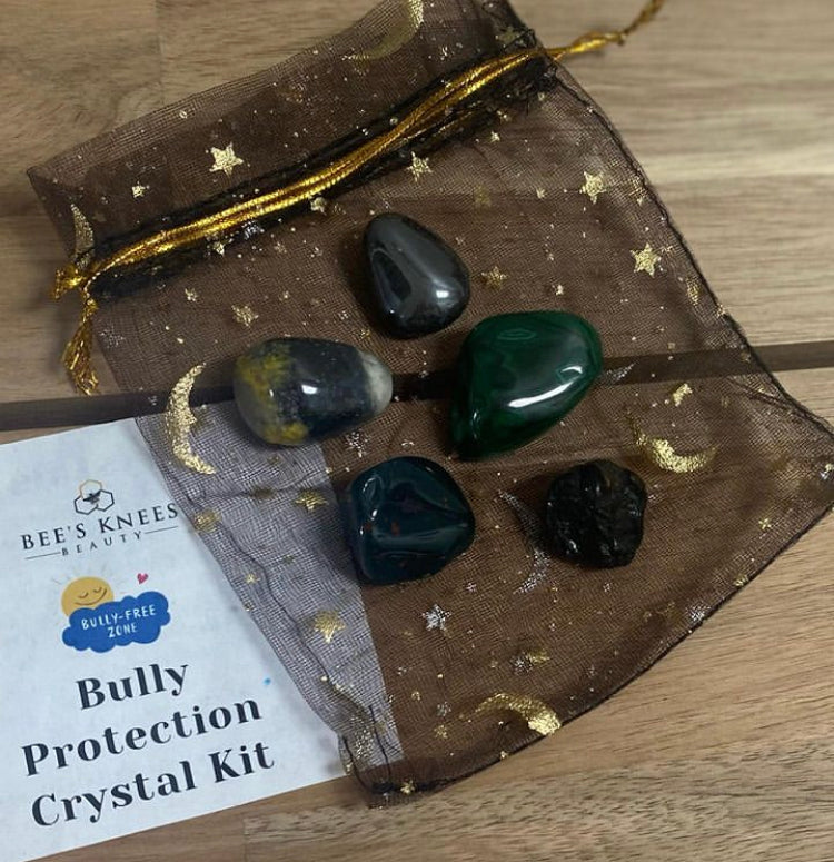 Bully protection kit