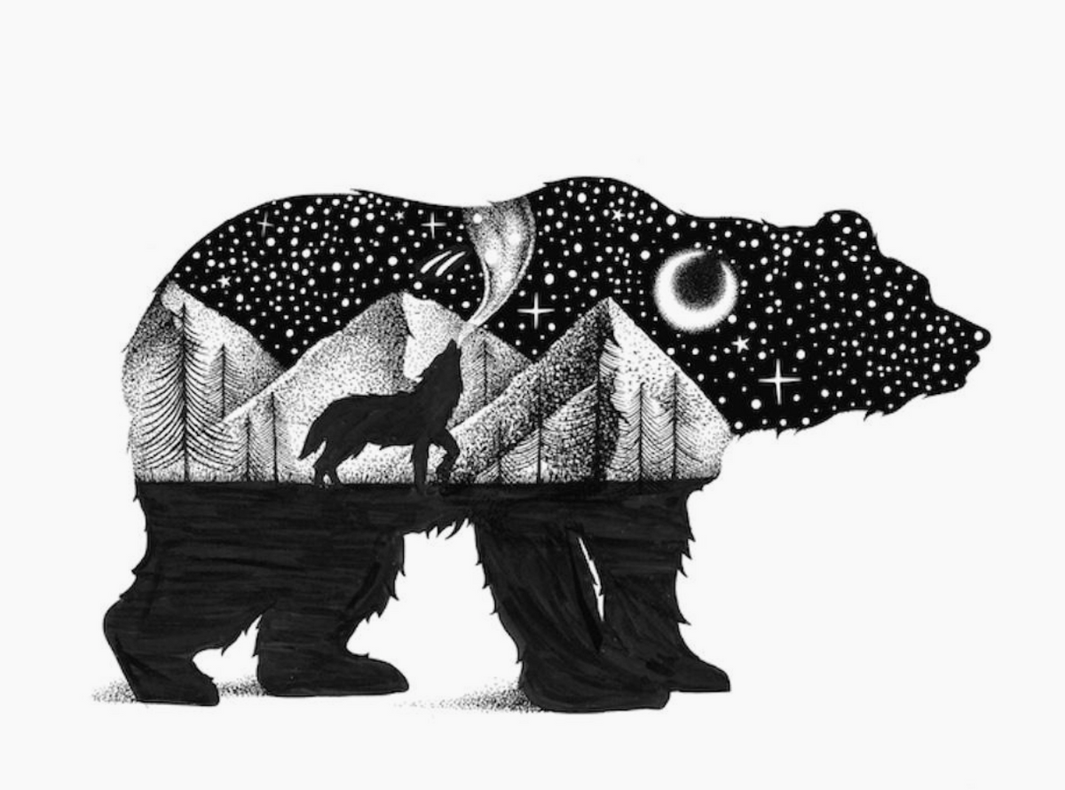 Bear, Mountains, Coyote, and Stary Night Sticker