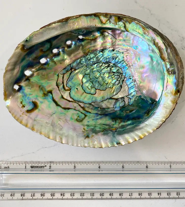 Abalone Shell Smudge Bowls