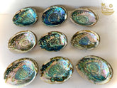 Abalone Shell Smudge Bowls