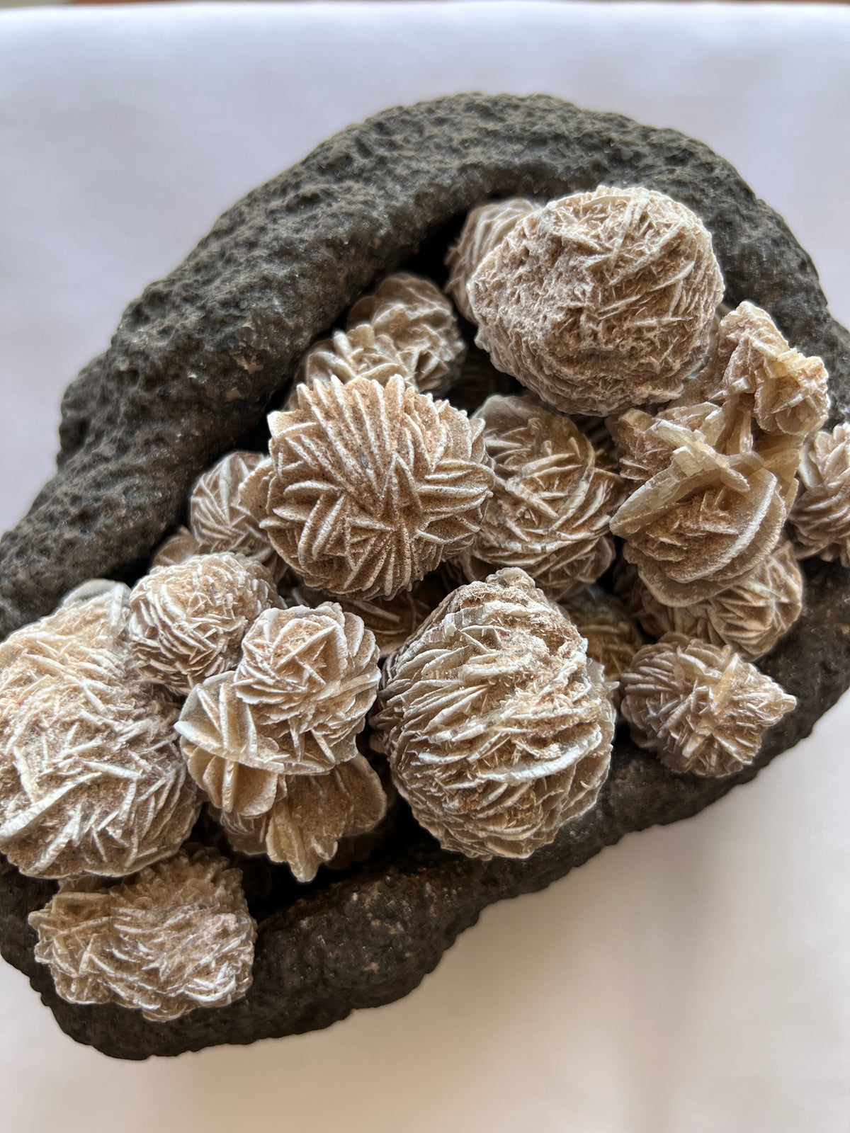 Desert Rose Cluster